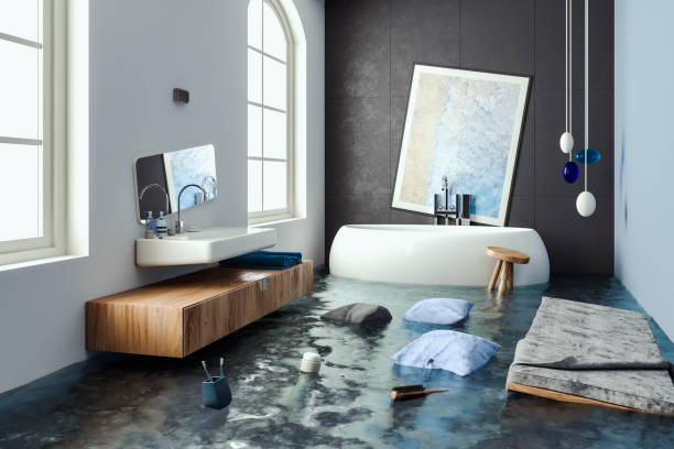 Best Professional water damage repair  in Rouses Point, NY