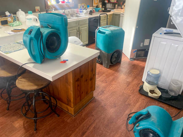 Best Ceiling water damage repair  in Rouses Point, NY