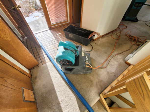 Best Carpet water damage restoration  in Rouses Point, NY