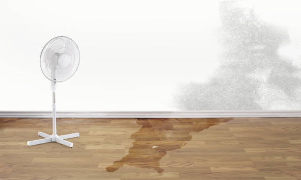 Best 24/7 water damage repair  in Rouses Point, NY
