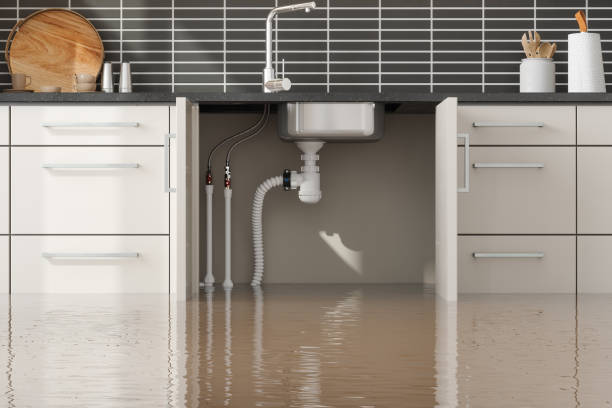 Best Basement water damage restoration  in Rouses Point, NY