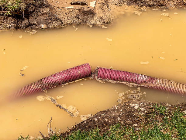 Best Residential water damage restoration  in Rouses Point, NY