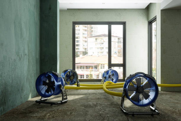 Reliable Rouses Point, NY Water damage restoration Solutions