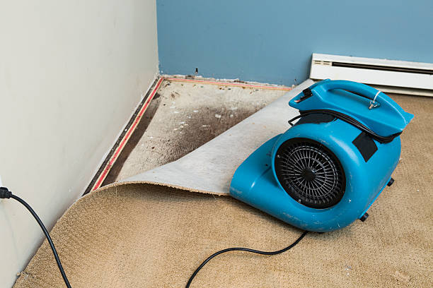  Rouses Point, NY Water damage restoration Pros